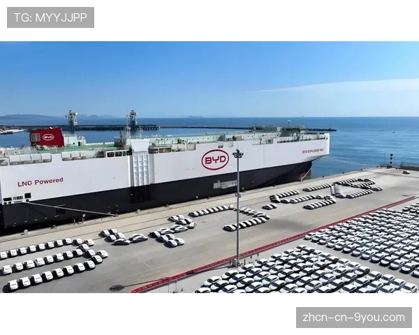 中国品牌出海范式革新：比亚迪以技术实力切入海外生活场景